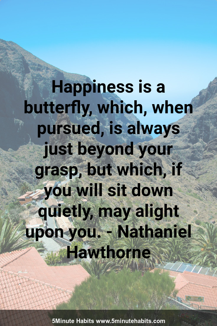 Happiness is a butterfly, which, when pursued, is always just beyond your grasp, but which, if you will sit down quietly, may alight upon you. - Nathaniel Hawthorne